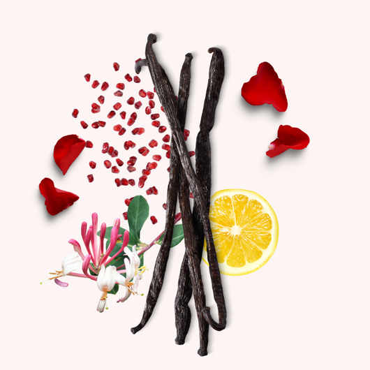 Alloura  | The Alloura+ Collection